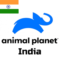 │無料動画│in animal planet india