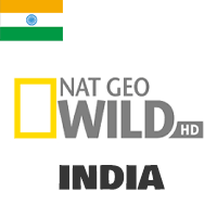 │無料動画│in nat geo wild hd india