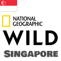 │無料動画│my national geographic wild asia