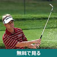 デビッド・トムズ│無料動画│220px david toms 2008 pga championship cropped