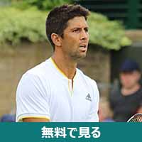 フェルナンド・ベルダスコ│無料動画│230px verdasco wm17 28629 283537920008329