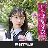 立花芽衣(タチバナ メイ) 立花芽衣(タチバナ メイ)