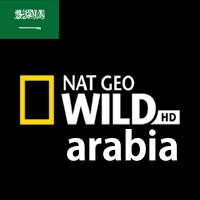 │無料動画│ae nat geo wild hd arabia