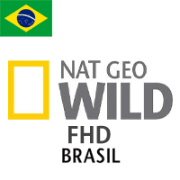 │無料動画│br nat geo wild fhd