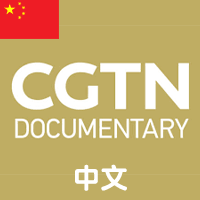 CGTN纪录