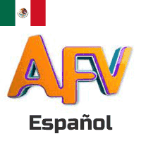 AFV ESPANOL