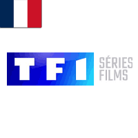 HD1 TF1 Séries Films 変更