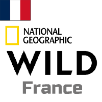 NAT GEO WILD France