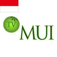 MUI TV