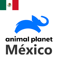 Animal Planet tv México