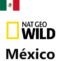 Nat Geo Wild México