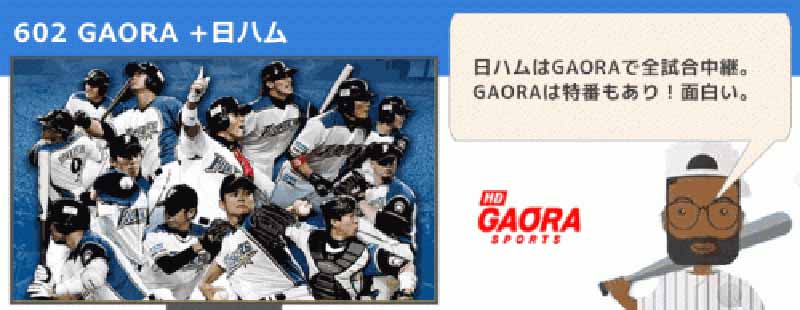 Ch.602 GAORA SPORTS│無料動画│pic yakyu 11