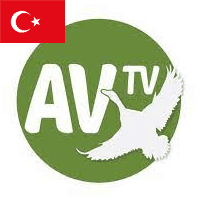 AV TV