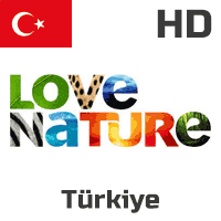 LOVE NATURE HD Turkey