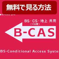 BCAS改造